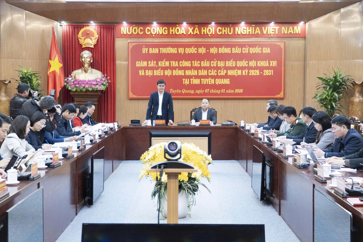 Quốc hội giám sát, kiểm tra công tác chuẩn bị bầu cử tại các địa phương- Ảnh 2.