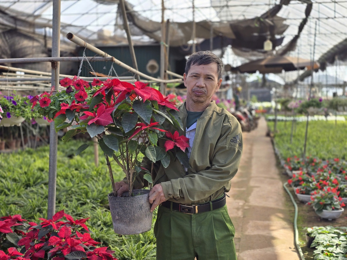 Làng hoa Xuân Quan đắt hàng sớm, giá tăng 10%-15% trong vụ Tết- Ảnh 9.