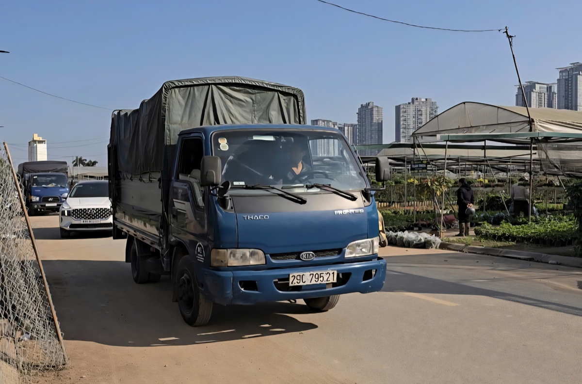 Làng hoa Xuân Quan đắt hàng sớm, giá tăng 10%-15% trong vụ Tết- Ảnh 4.