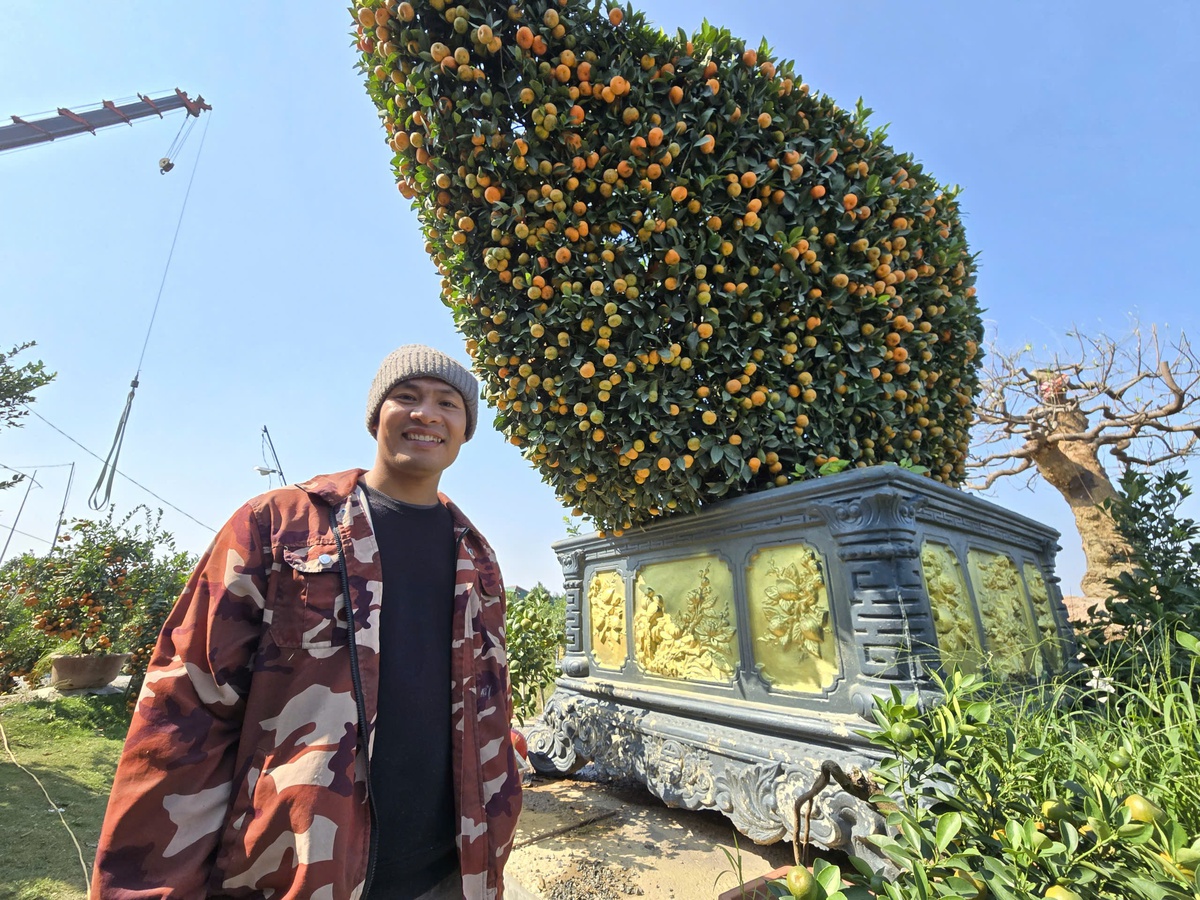 Chiêm ngưỡng loạt cây chơi Tết có giá hàng trăm triệu đồng- Ảnh 4.