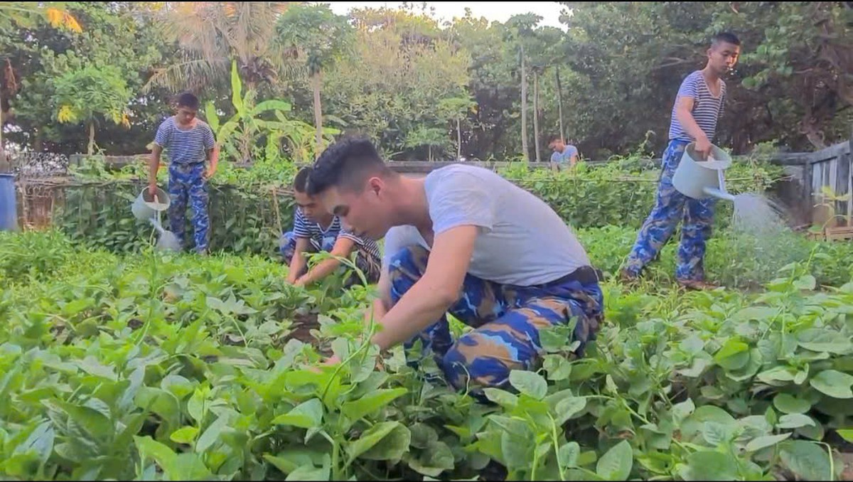 Xanh hóa Trường Sa - Ý chí, nghị lực của bộ đội Hải quân nơi đầu sóng- Ảnh 1.