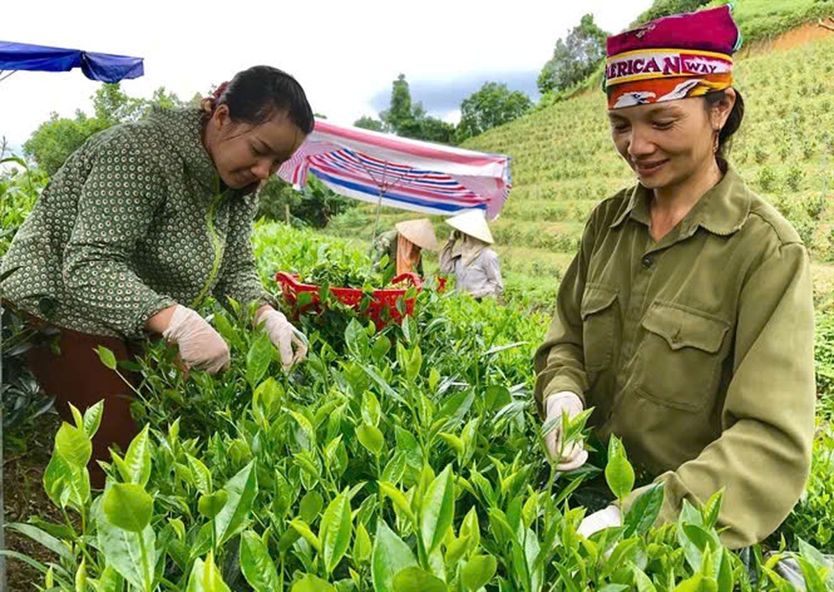 Lào Cai nâng chất lượng dự án, mở rộng cơ hội khởi nghiệp cho phụ nữ - Ảnh 1.
