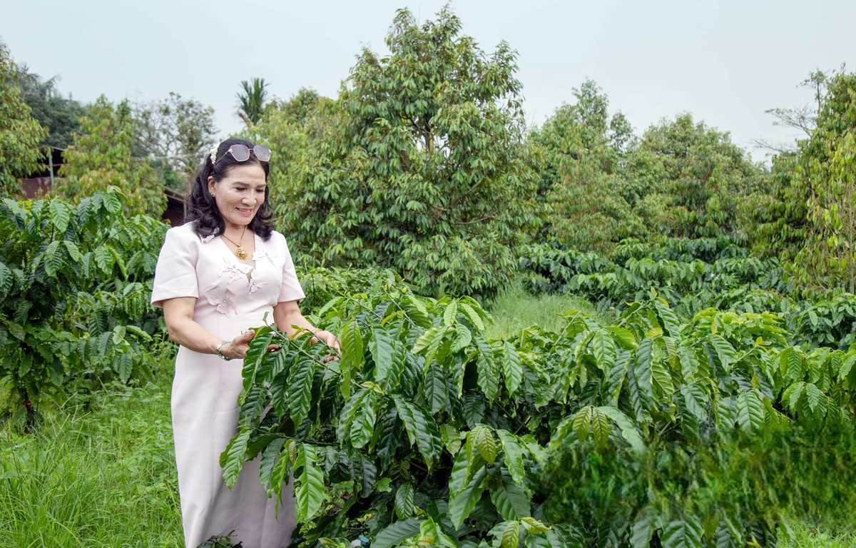 Nữ doanh nhân - nông dân thời công nghệ đưa nông sản quê vươn ra thị trường lớn - Ảnh 3.