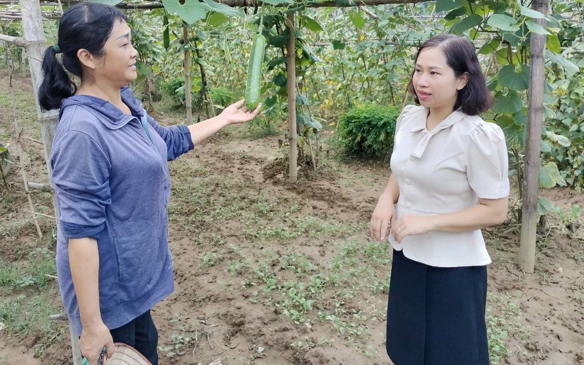 Hội LHPN Việt Nam: Đổi mới phong trào thi đua, vì sự phát triển của phụ nữ - Ảnh 2.