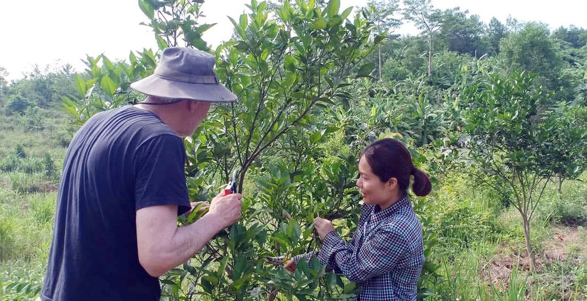 Chuyển đổi xanh: Không nhất thiết phải đầu tư công nghệ hiện đại ngay từ đầu - Ảnh 2.