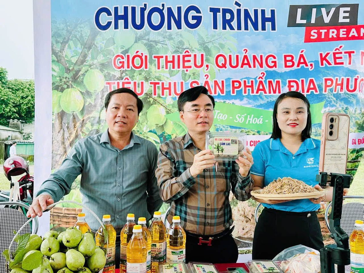 Phụ nữ Hà Tĩnh rộn ràng tháng Mười, lan tỏa những việc làm thiết thực - Ảnh 6.