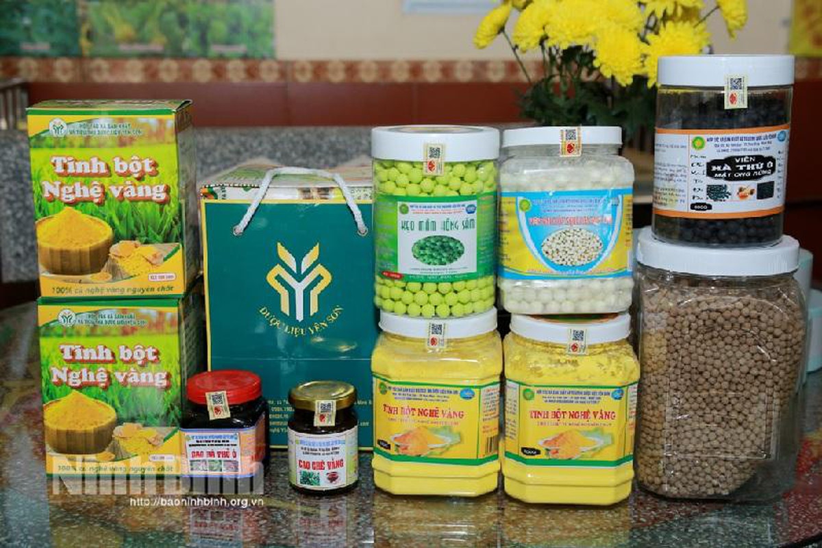 Từ củ nghệ đến thương hiệu: Phụ nữ đưa sản phẩm bản địa ra thị trường - Ảnh 2.