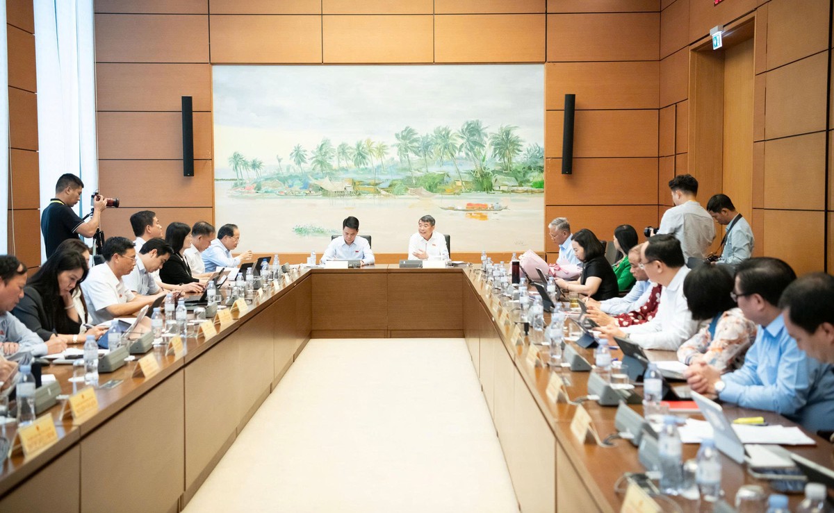 Đại biểu Trần Lan Phương: Đề xuất hoàn thiện quy định về nuôi con nuôi, bảo đảm quyền lợi trẻ em- Ảnh 1.