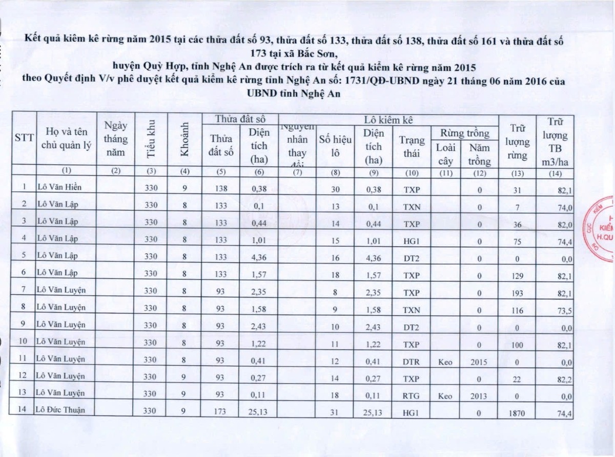 Vụ án hủy hoại rừng ở Nghệ An: Vì sao bị cáo kêu oan?- Ảnh 1.