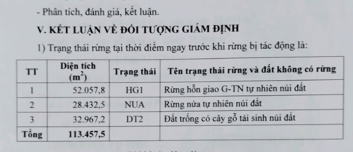 Vụ án hủy hoại rừng ở Nghệ An: Vì sao bị cáo kêu oan?- Ảnh 3.