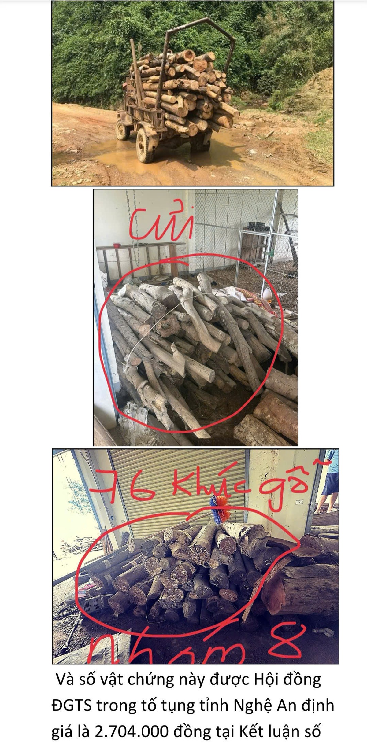 Vụ án hủy hoại rừng ở Nghệ An: Vì sao bị cáo kêu oan?- Ảnh 5.