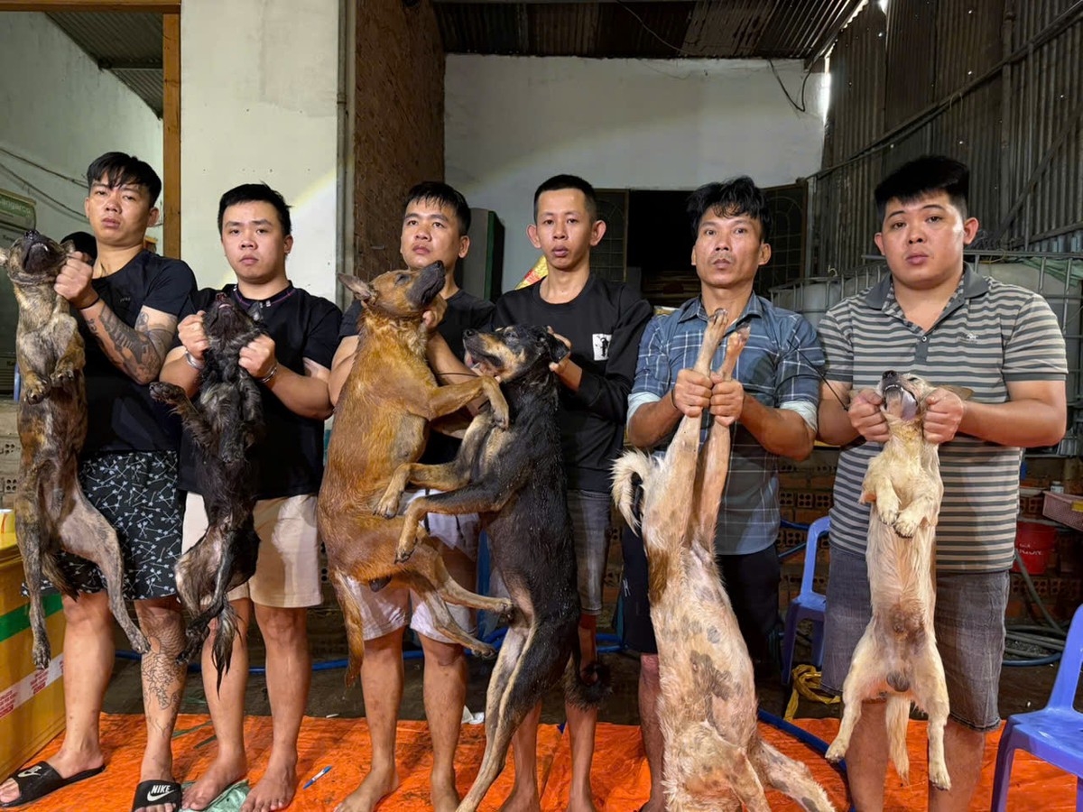 Nhóm “cẩu tặc” một đêm trộm 21 con chó, lộ đường dây tiêu thụ liên tỉnh - Ảnh 1.