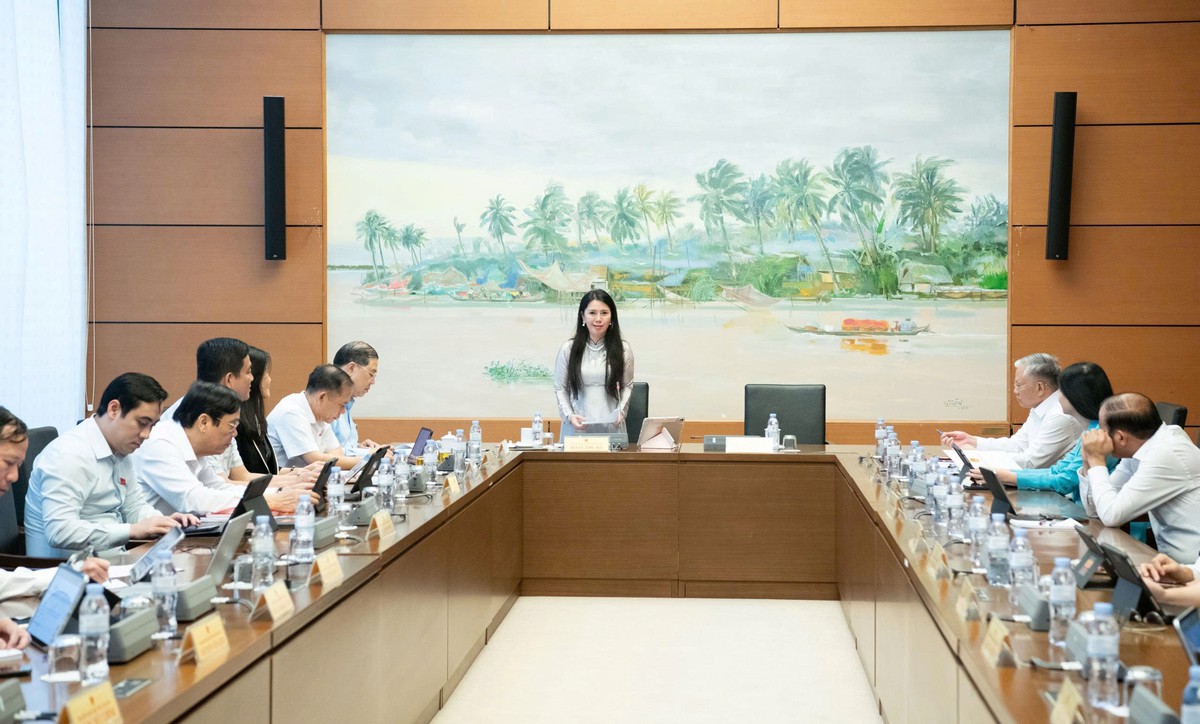 Đề nghị làm rõ thẩm quyền, giảm thủ tục ký kết thỏa thuận quốc tế - Ảnh 1.