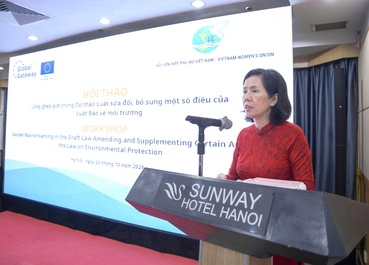 Nhận diện khoảng trống giới trong Dự thảo luật sửa đổi, bổ sung một số điều của Luật Bảo vệ môi trường- Ảnh 1.