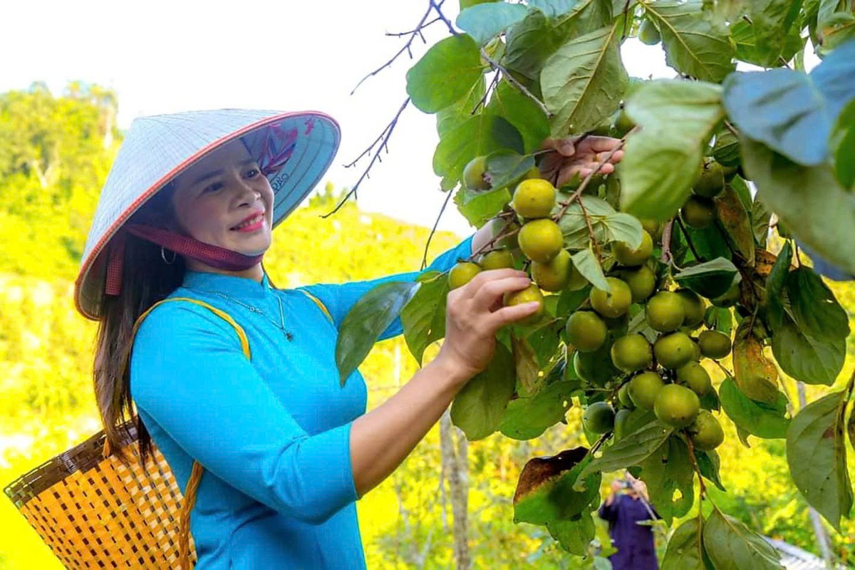 Từ quả hồng xứ Lạng đến sinh kế cho phụ nữ vùng biên - Ảnh 4.
