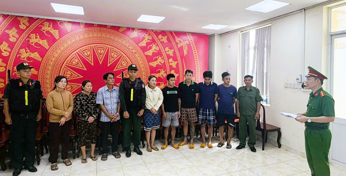 Triệt phá đường dây tiêu thụ khoảng 400 tấn lợn bệnh, lợn chết - Ảnh 1.