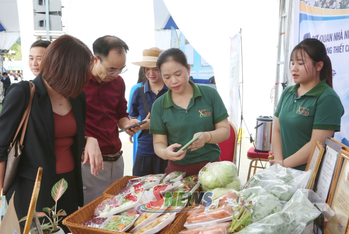 Phụ nữ dân tộc thiểu số Sơn La tăng thu nhập nhờ liên kết sản xuất- Ảnh 1.