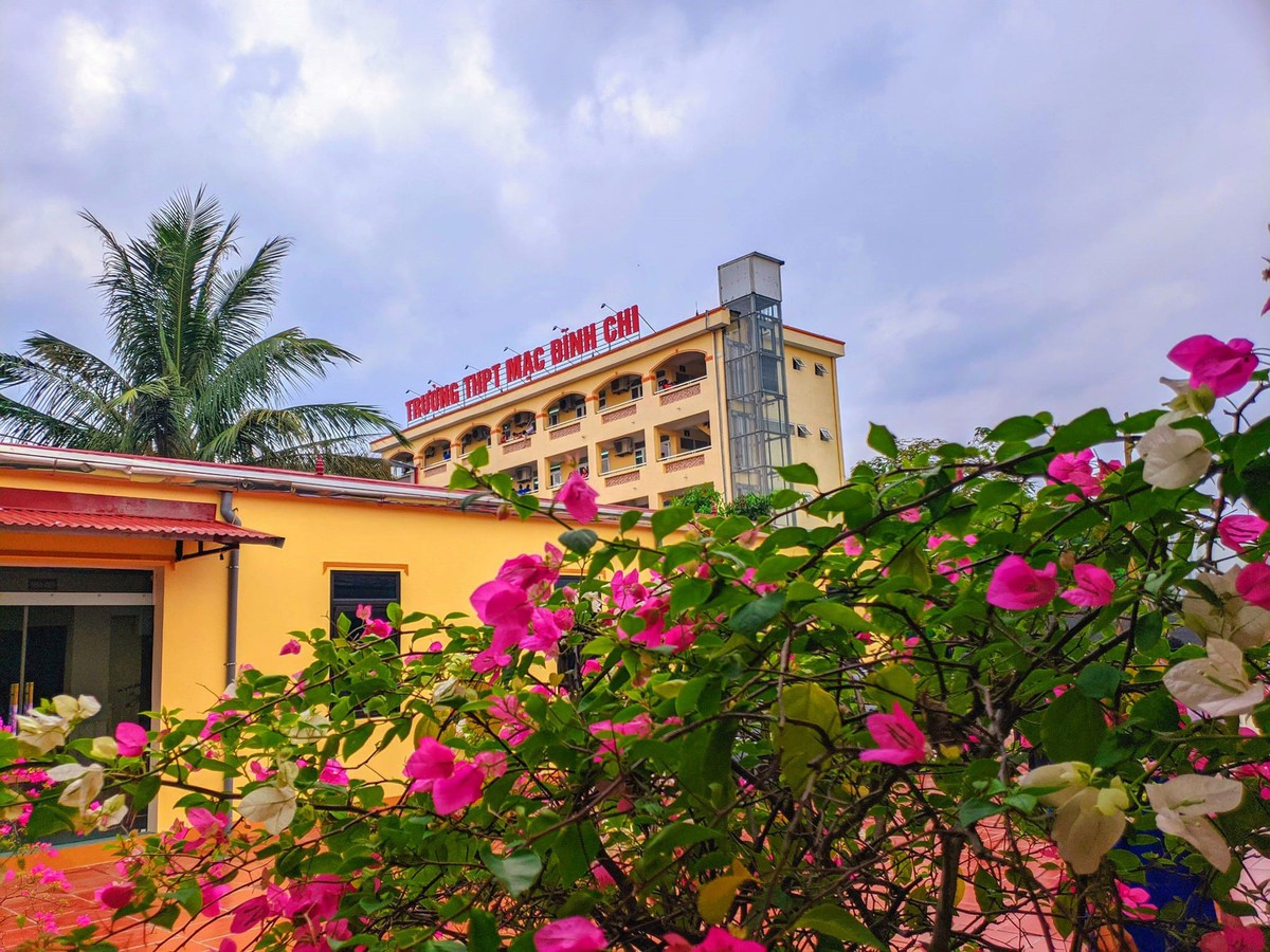 Vụ nam sinh hành hung giáo viên tại lớp: Cần trả lại quyền uy chính đáng cho người thầy- Ảnh 1.