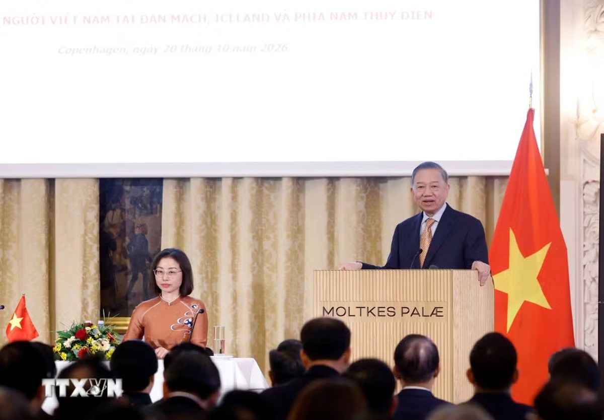 General Secretary, President To Lam met Vietnamese communities in Denmark, Iceland, southern Sweden - Ảnh 2.