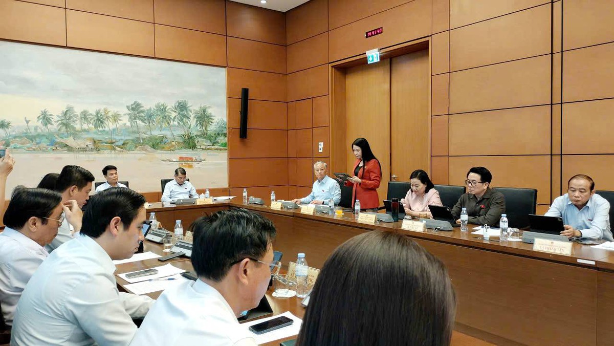 Đại biểu Trần Lan Phương: Thiếu dữ liệu tập trung sẽ khó đánh giá bình đẳng giới- Ảnh 1.