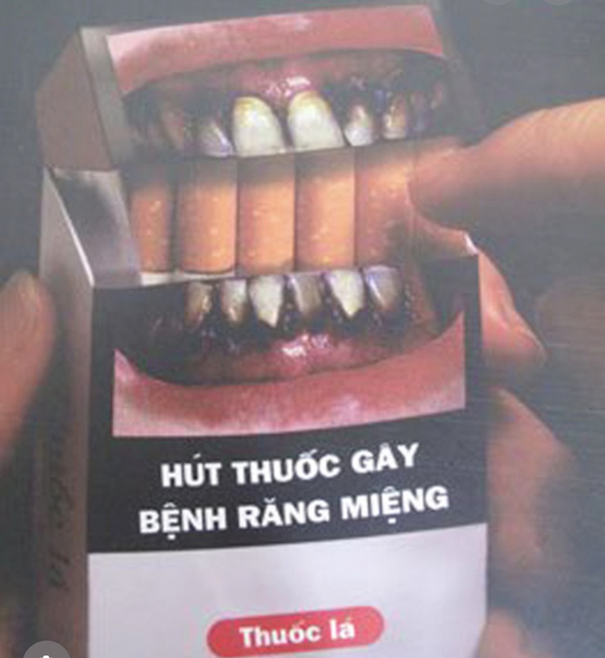 Cảnh báo sức khỏe trên bao thuốc lá: Hình ảnh lớn rất hiệu quả trong ngăn ngừa sử dụng thuốc lá - Ảnh 1.