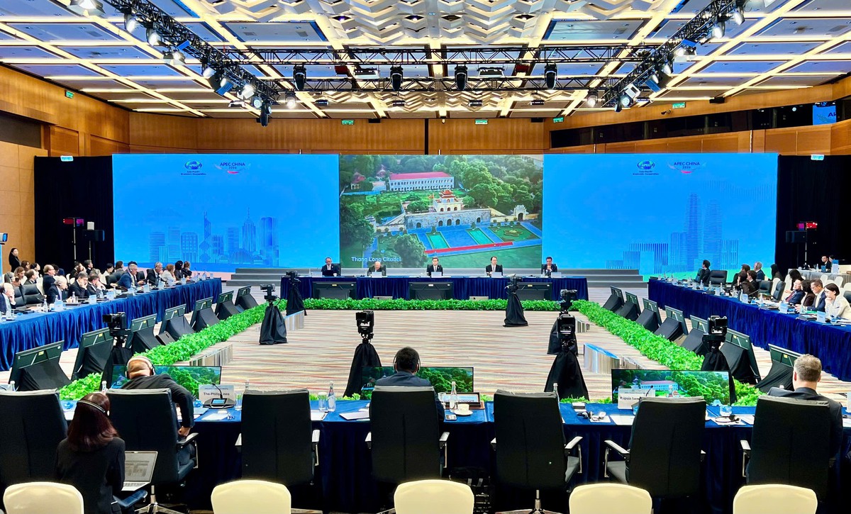 Việt Nam chính thức tiếp nhận vai trò chủ trì Tiến trình Bộ trưởng Tài chính APEC 2027 - Ảnh 1.