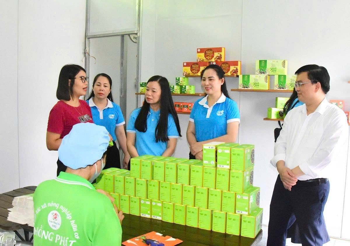 Phụ nữ Tuyên Quang nâng cao năng lực số, thúc đẩy khởi nghiệp - Ảnh 1.
