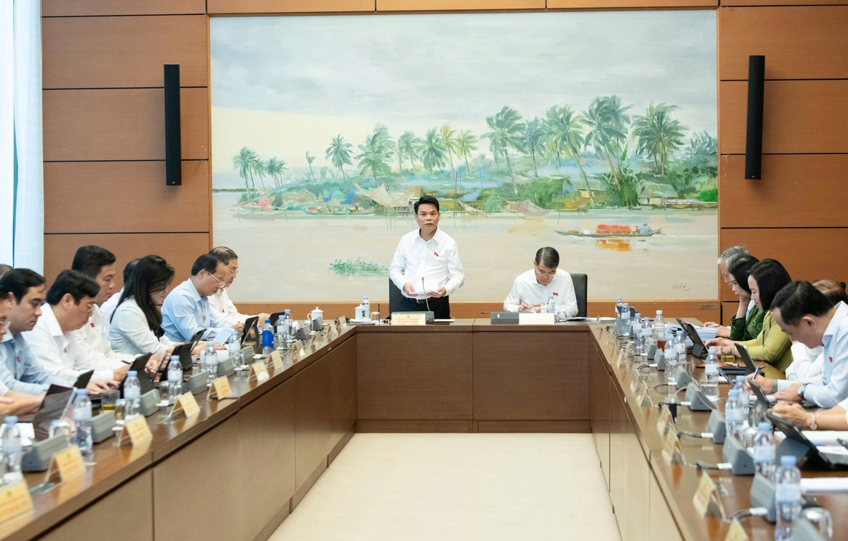 Đại biểu Trần Lan Phương đề nghị tăng cường bảo vệ người dân trong các dự án bất động sản- Ảnh 1.