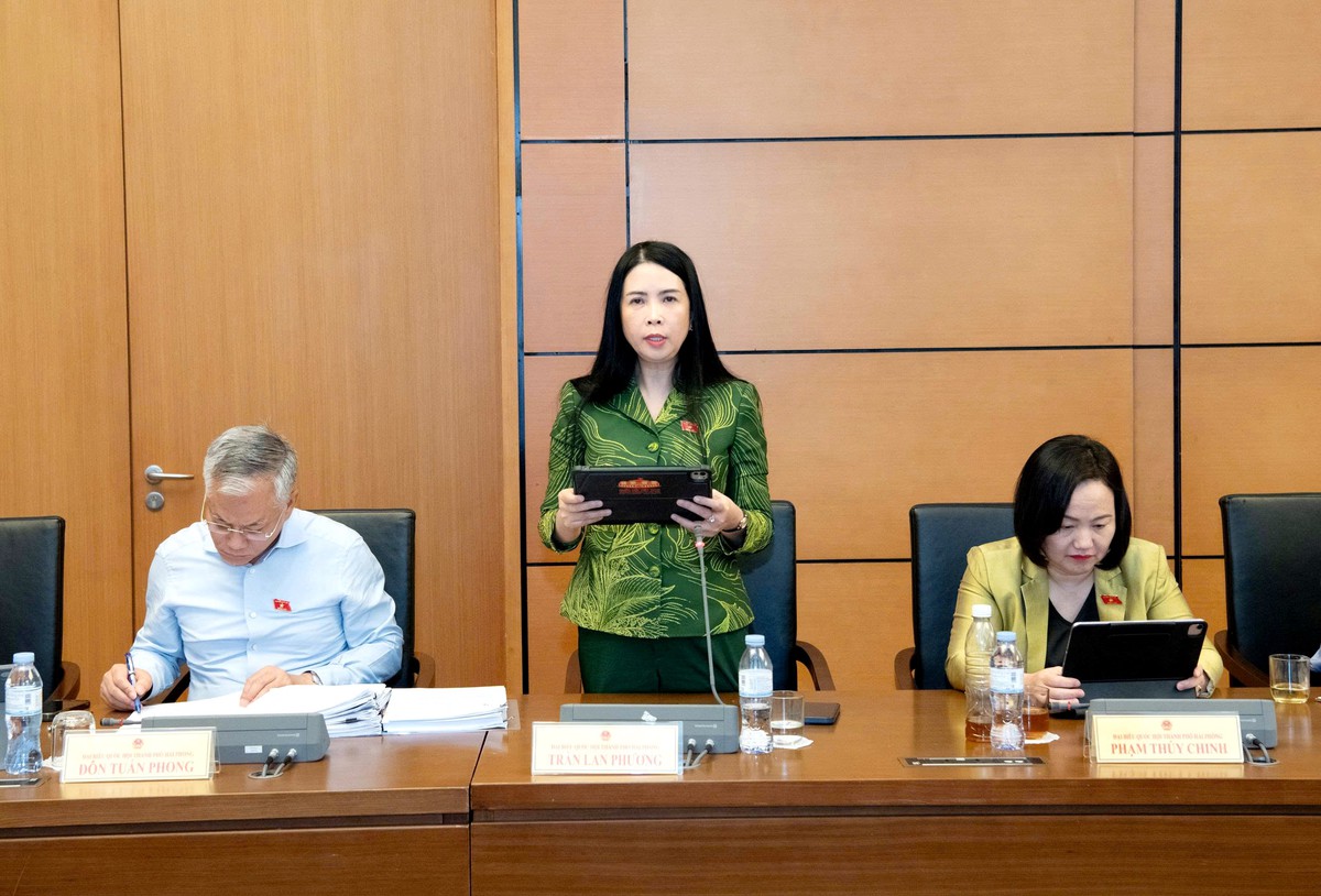 Đại biểu Trần Lan Phương đề nghị tăng cường bảo vệ người dân trong các dự án bất động sản- Ảnh 2.