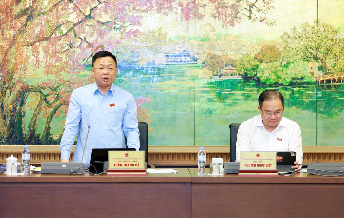 Đại biểu Nguyễn Thị Tuyến: Bảo vệ quyền lợi người dân trong chính sách đất đai, nhà ở - Ảnh 1.