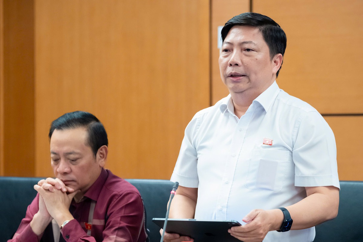 Đại biểu Quốc hội lo thủ tục sở hữu trí tuệ kéo dài, tăng chi phí doanh nghiệp- Ảnh 3.