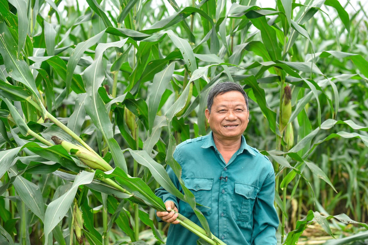 Hành trình phát triển bền vững tại Vinamilk: Từ những thay đổi nhỏ đến tác động lớn hơn cho cộng đồng- Ảnh 5.