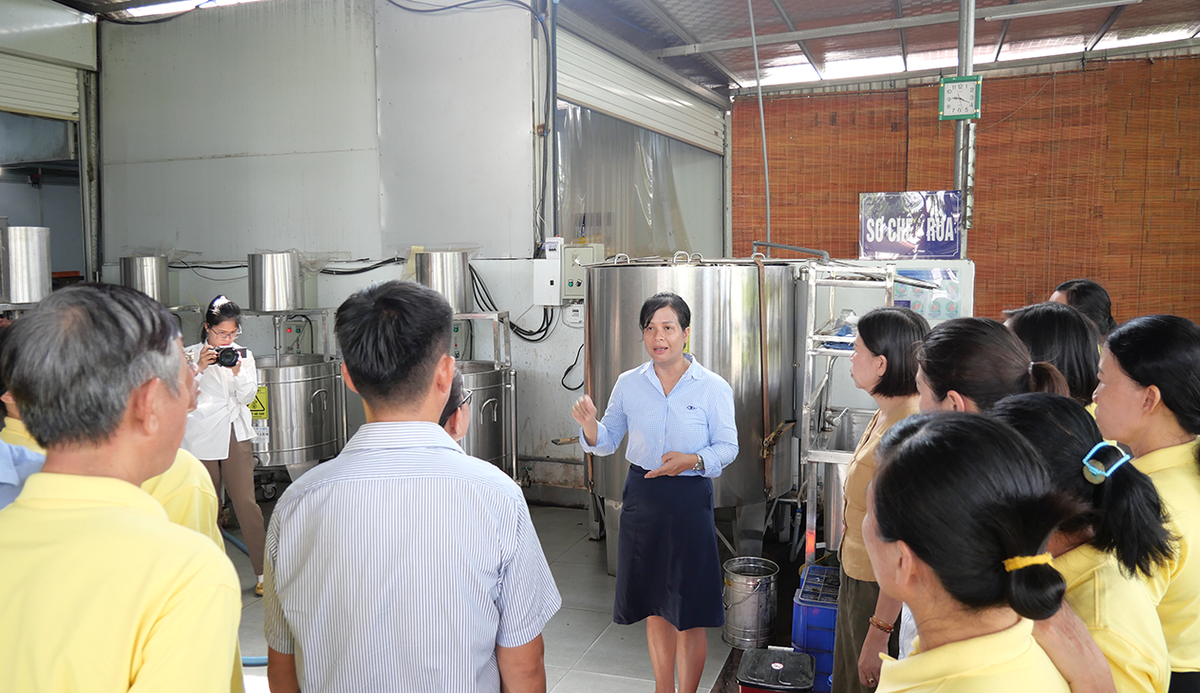 Nữ founder với câu chuyện đưa máy móc và công nghệ số "làm bạn" với cây dược liệu quê nhà - Ảnh 4.