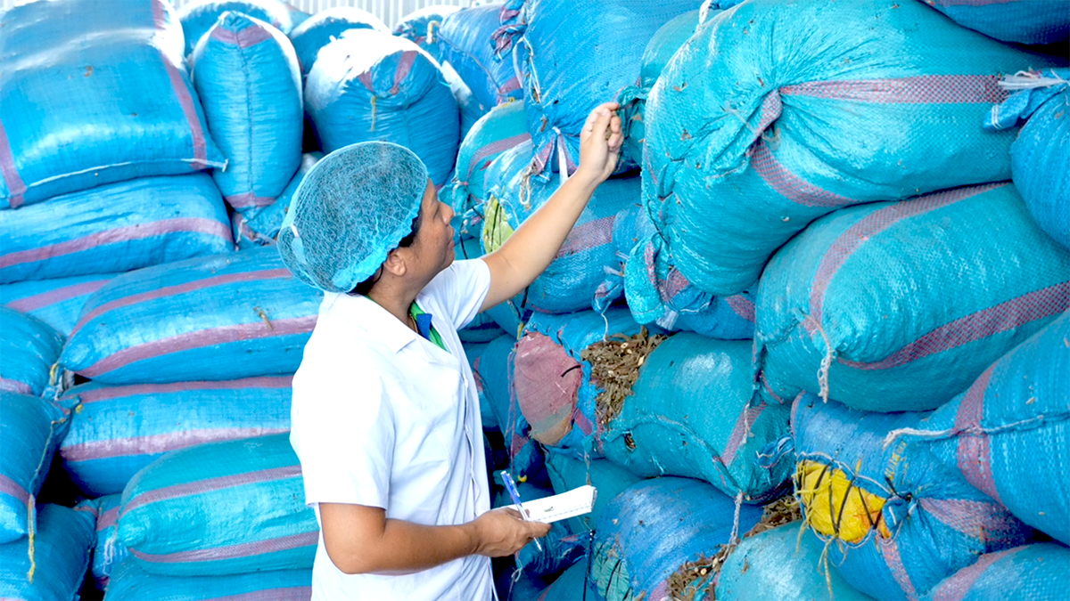 Nữ founder với câu chuyện đưa máy móc và công nghệ số "làm bạn" với cây dược liệu quê nhà - Ảnh 5.