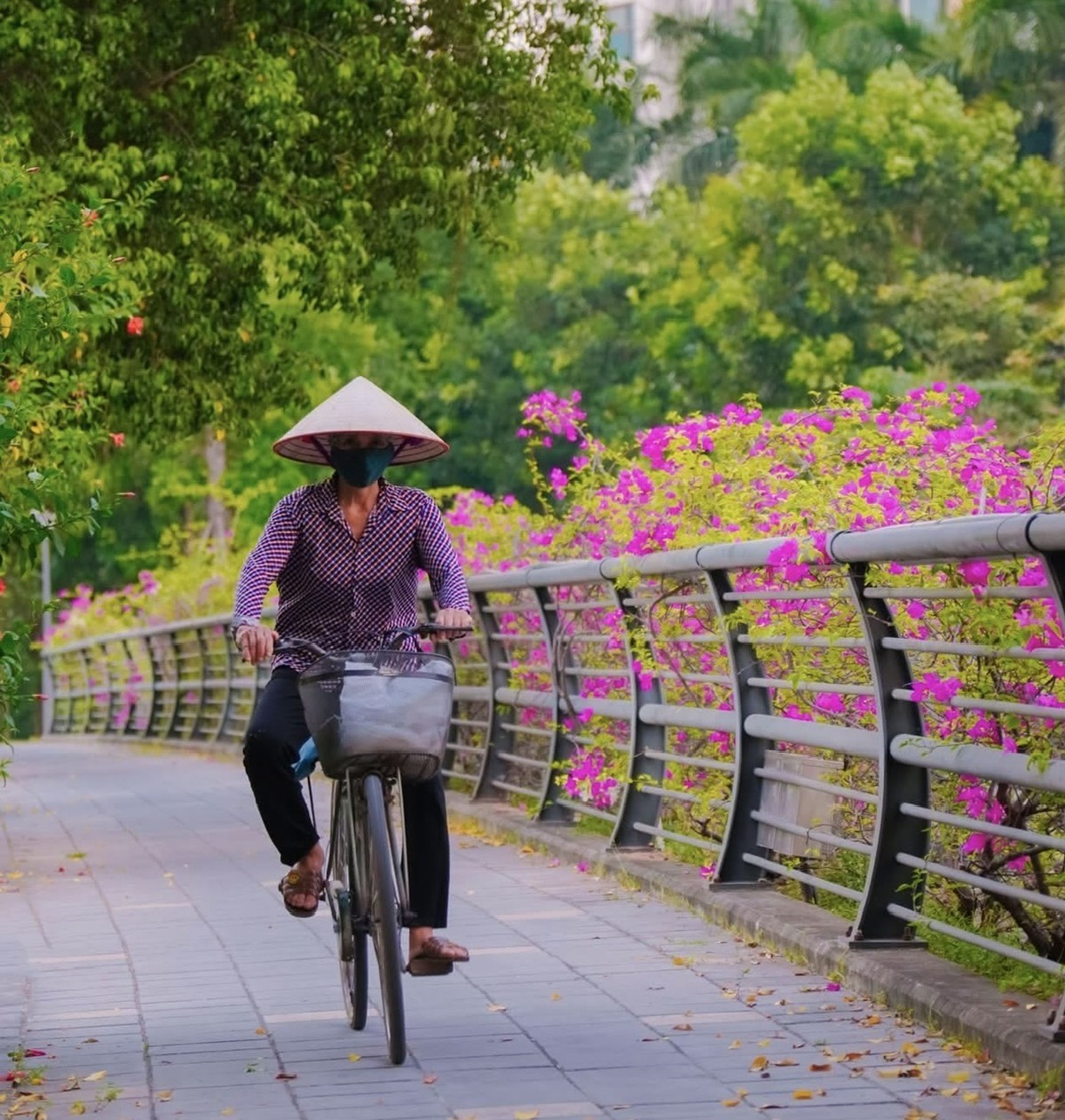 Khơi thông "nguồn lực bạc"- Bài 1: Nhìn lại thị trường lao động cho người cao tuổi- Ảnh 1.