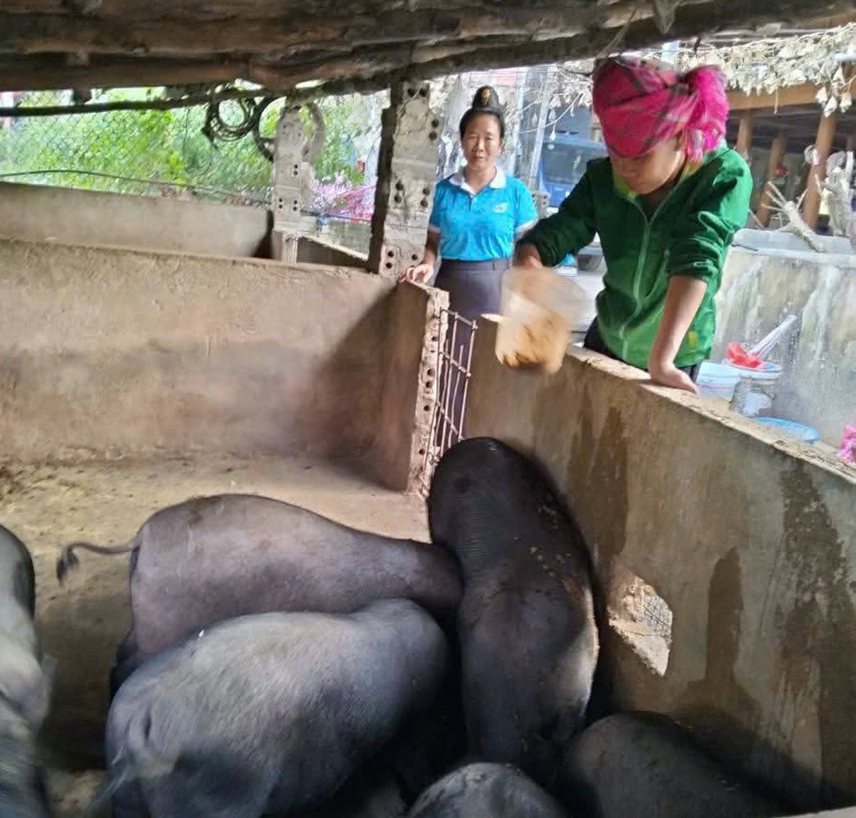 Trao sinh kế là trao “lá chắn” cho phụ nữ vùng biên - Ảnh 3.