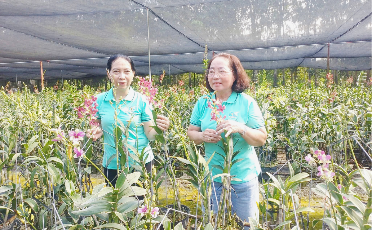 Phụ nữ xã Nhuận Đức học hỏi kinh nghiệm khởi nghiệp với nghề trồng lan- Ảnh 1.