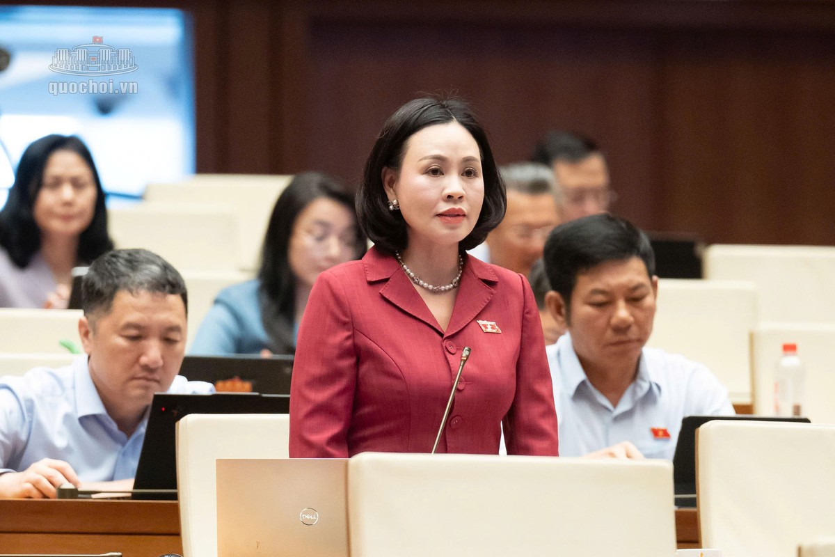 Đại biểu Quốc hội đề xuất kết nối tiền tiết kiệm của người dân với doanh nghiệp- Ảnh 3.