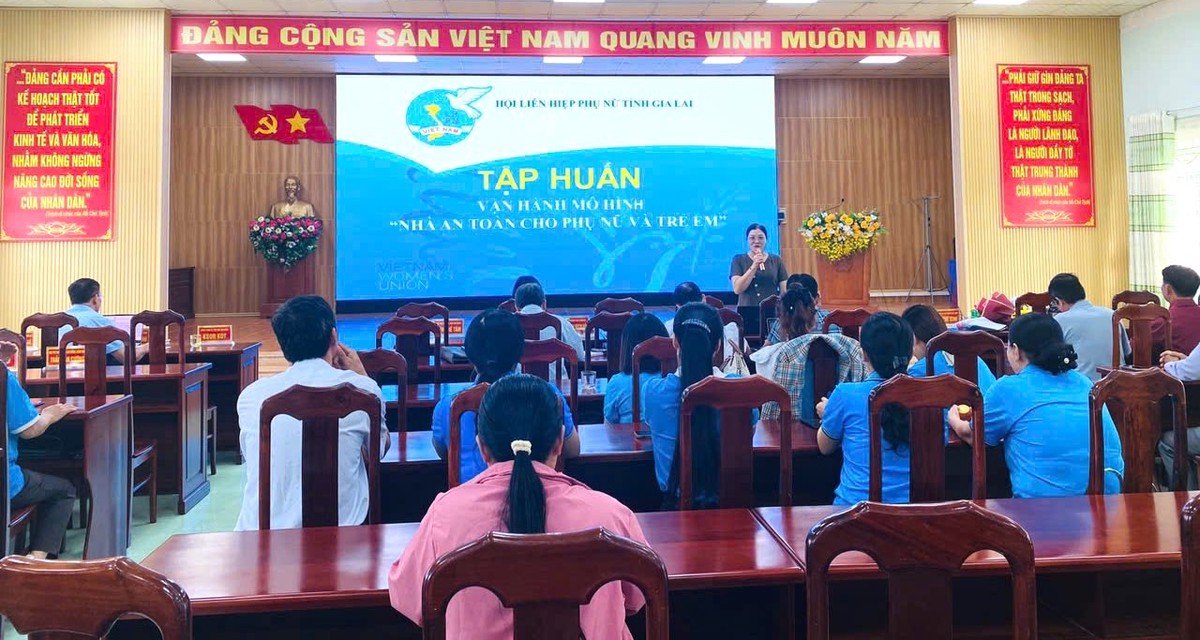 Gia Lai: Ra mắt mô hình điểm cấp tỉnh "Nhà an toàn cho phụ nữ và trẻ em"- Ảnh 3.