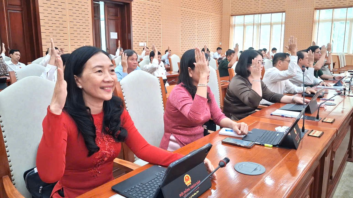 An Giang thông qua đề án Khu kinh tế đặc biệt Phú Quốc- Ảnh 1.