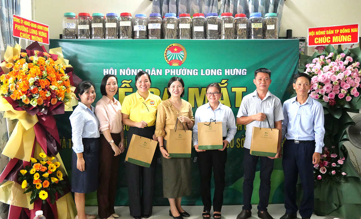 Đồng Nai: Đẩy mạnh hỗ trợ phụ nữ khởi nghiệp và chuyển đổi số theo Đề án 2415 - Ảnh 1.