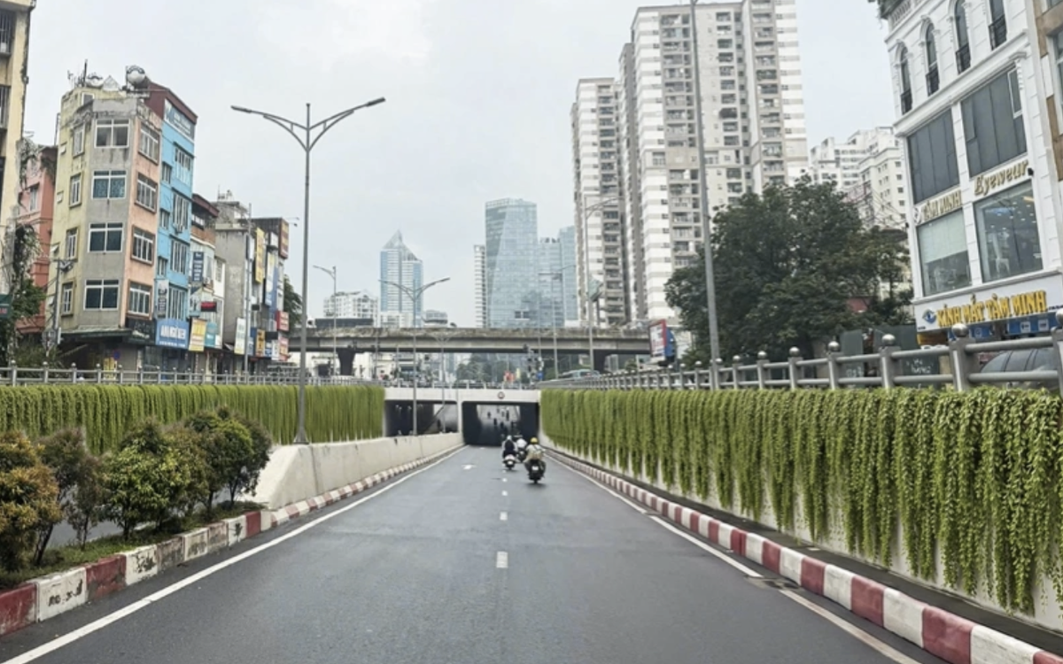 Hà Nội thí điểm phủ xanh trụ cầu, hầm chui - Ảnh 1.