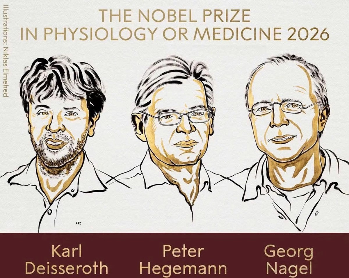 Giải Nobel Y sinh 2026 vinh danh nghiên cứu giải mã hoạt động của não bộ- Ảnh 1.