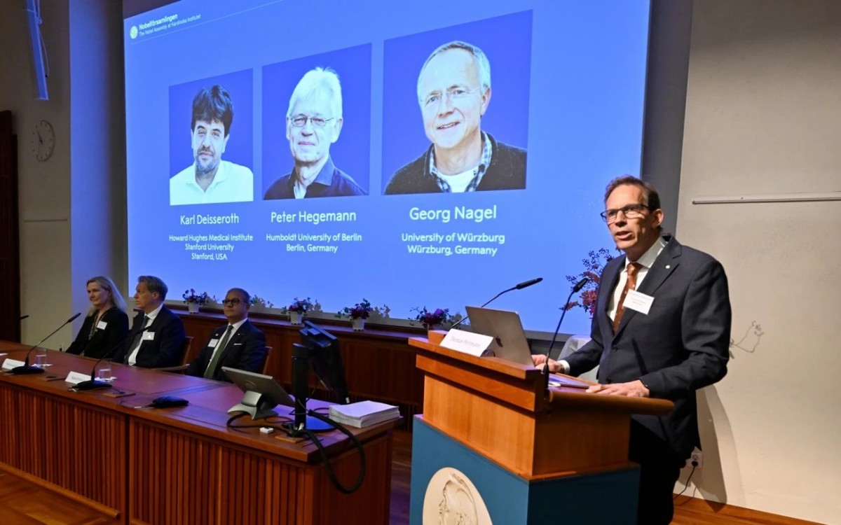 Giải Nobel Y sinh 2026 vinh danh nghiên cứu giải mã hoạt động của não bộ- Ảnh 2.
