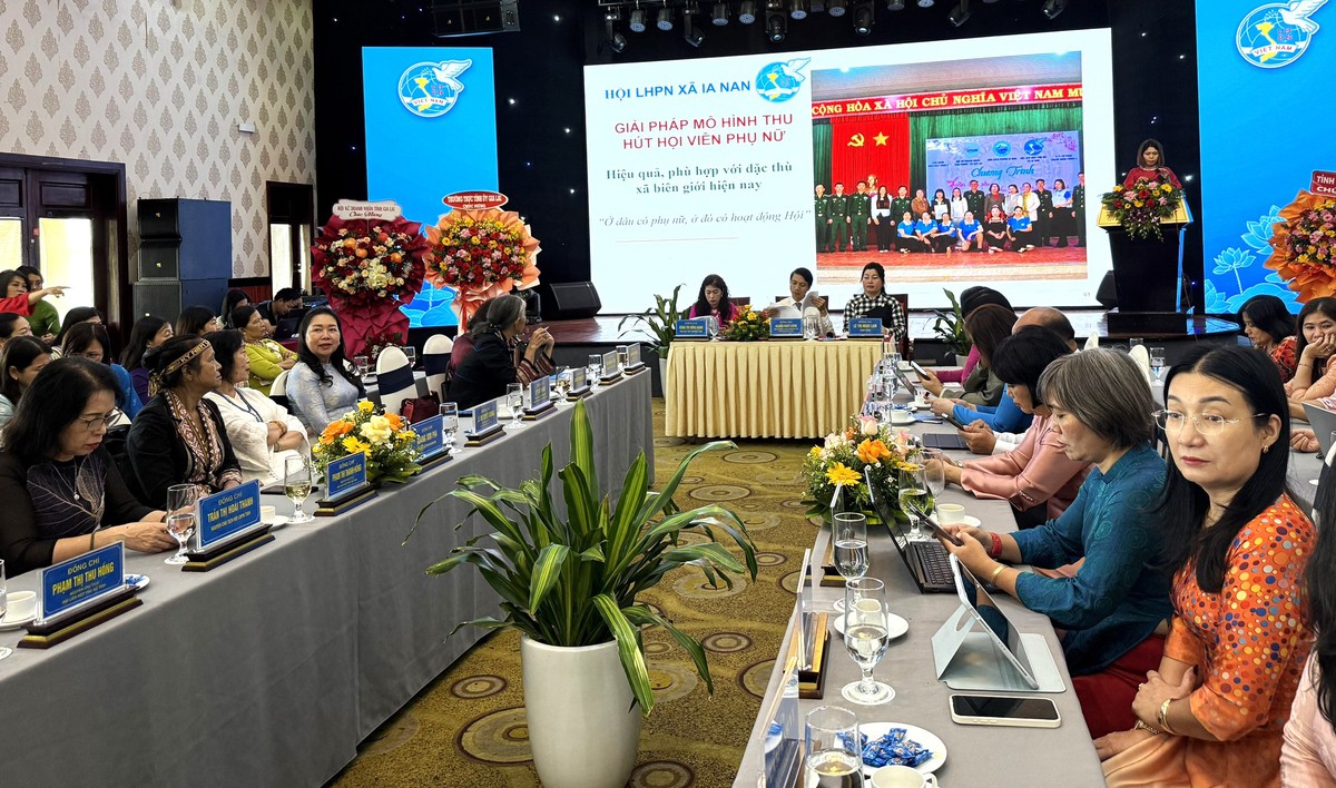 Hội LHPN tỉnh Gia Lai: Bàn giải pháp, phấn đấu phát triển 33.000 hội viên mới- Ảnh 1.