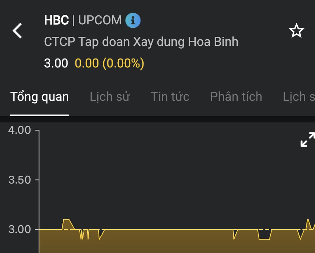 Hoà Bình hoán đổi nợ: Cổ phiếu 3.000 đồng, vì sao chủ nợ vẫn nhận ở giá 10.000 đồng? - Ảnh 3.