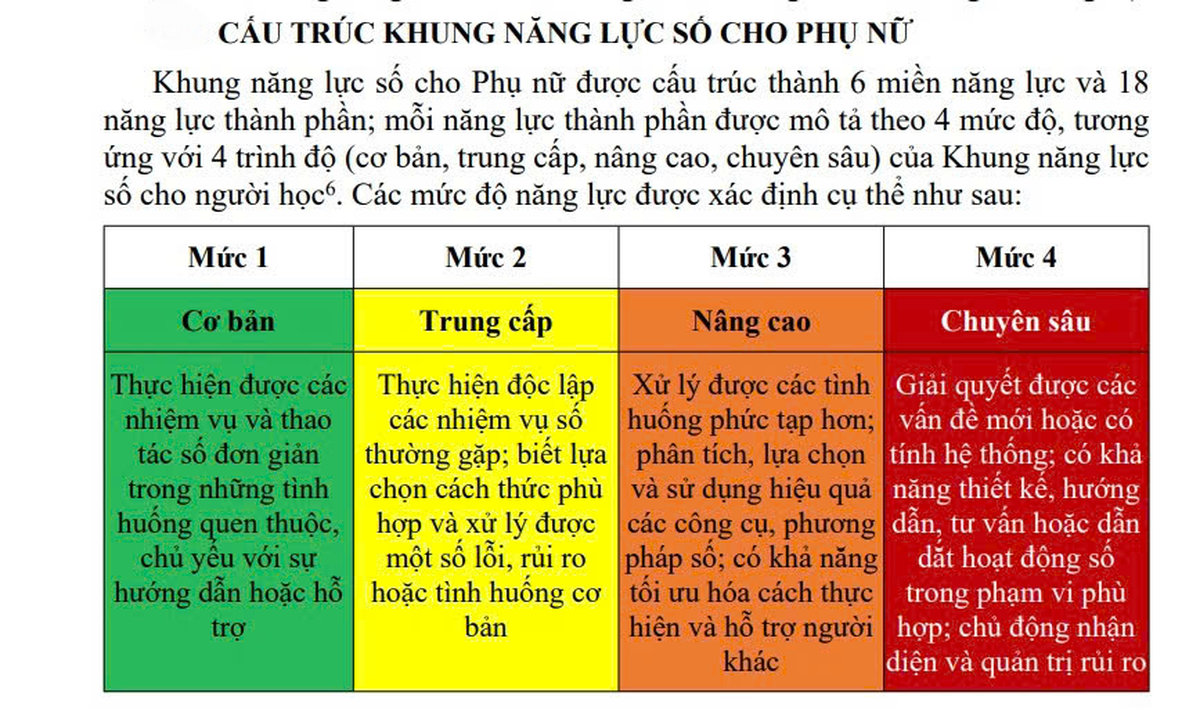 Hội LHPN Việt Nam ban hành Khung năng lực số cho phụ nữ- Ảnh 1.
