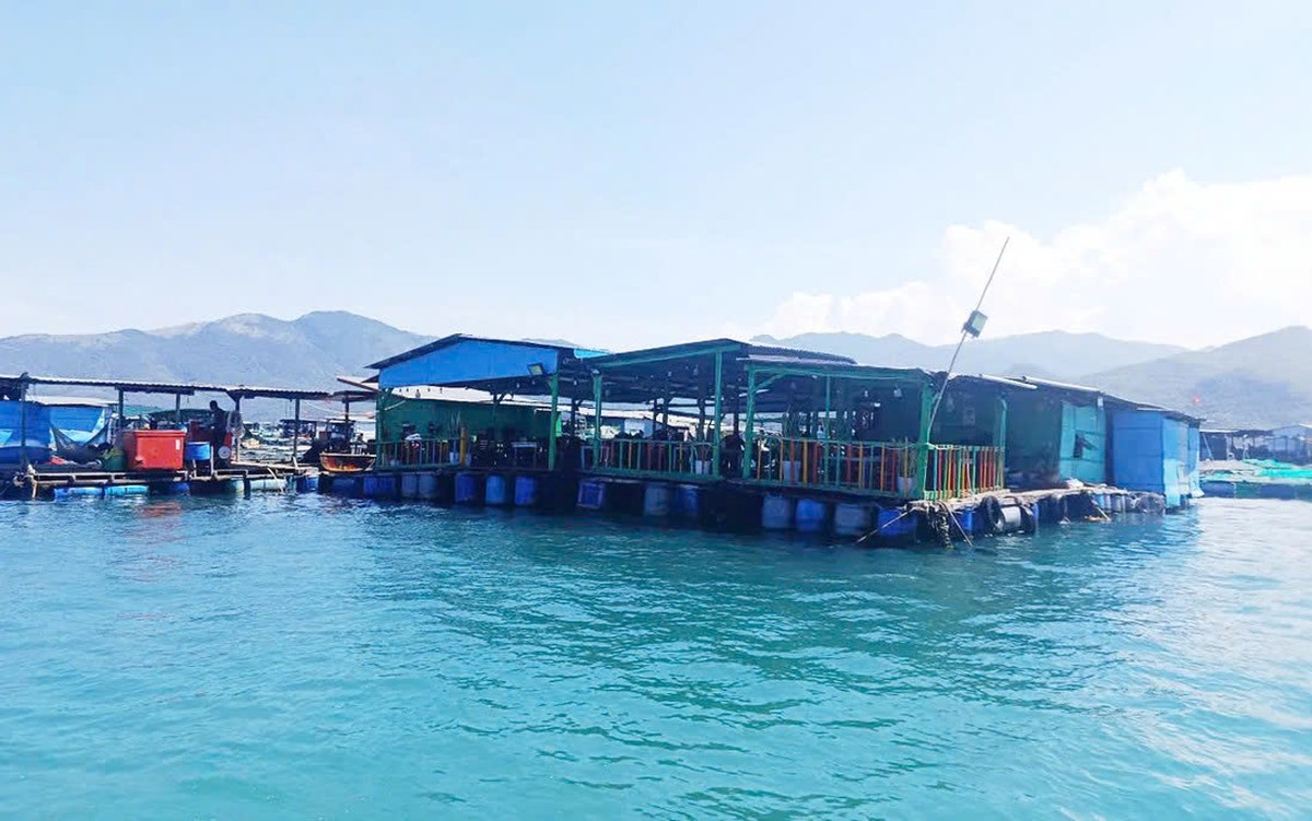 Khánh Hòa phát hiện 26/27 nhà bè "tự phát" trên Vịnh sau phản ánh của báo Phụ nữ Việt Nam - Ảnh 1.