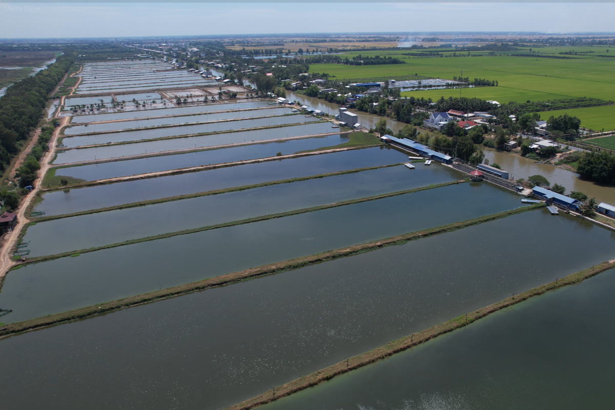 Agribank triển khai chính sách phát triển nông nghiệp, nông thôn, tích cực hỗ trợ khách hàng phát triển kinh tế- Ảnh 2.