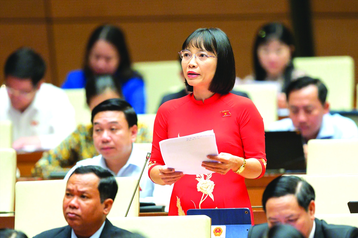 Dấu ấn nữ đại biểu Quốc hội: Từ tâm huyết đến hành động- Ảnh 3.